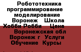 Робототехника,программирование, 3D моделирование . Воронеж.. Школа “Хобби Робби“ › Цена ­ 300 - Воронежская обл., Воронеж г. Услуги » Обучение. Курсы   